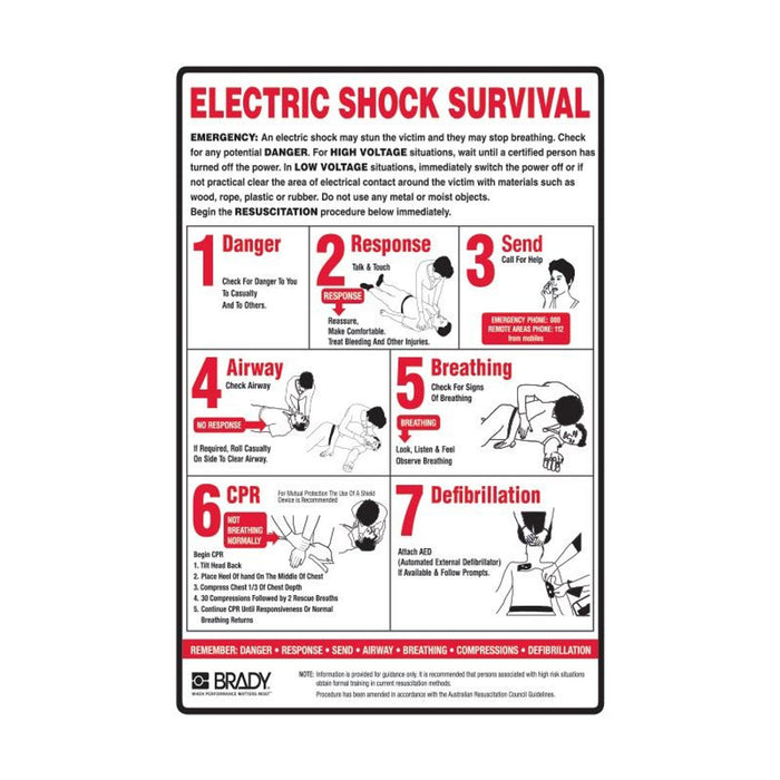Poster Electric Shock Sirvival Guide w450mm x h600mm POLY